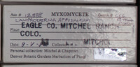 Image Associated With the Occurence